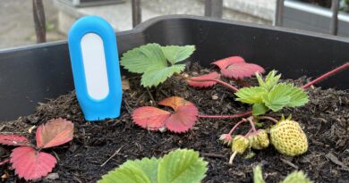 Smarter Tuya Pflanzensensor für den Sommer TS601Title